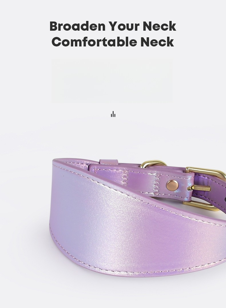 Conjunto de Correa y Collar Re - Headcollar Rope Set reseña y precio