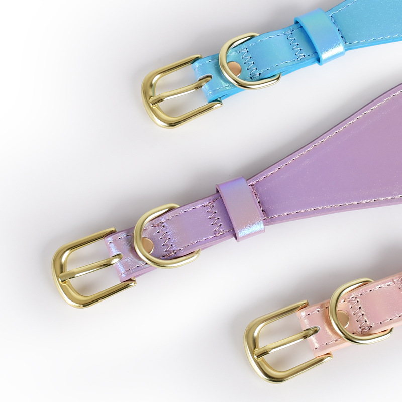 Conjunto de Correa y Collar Re - Headcollar Rope Set reseña y precio