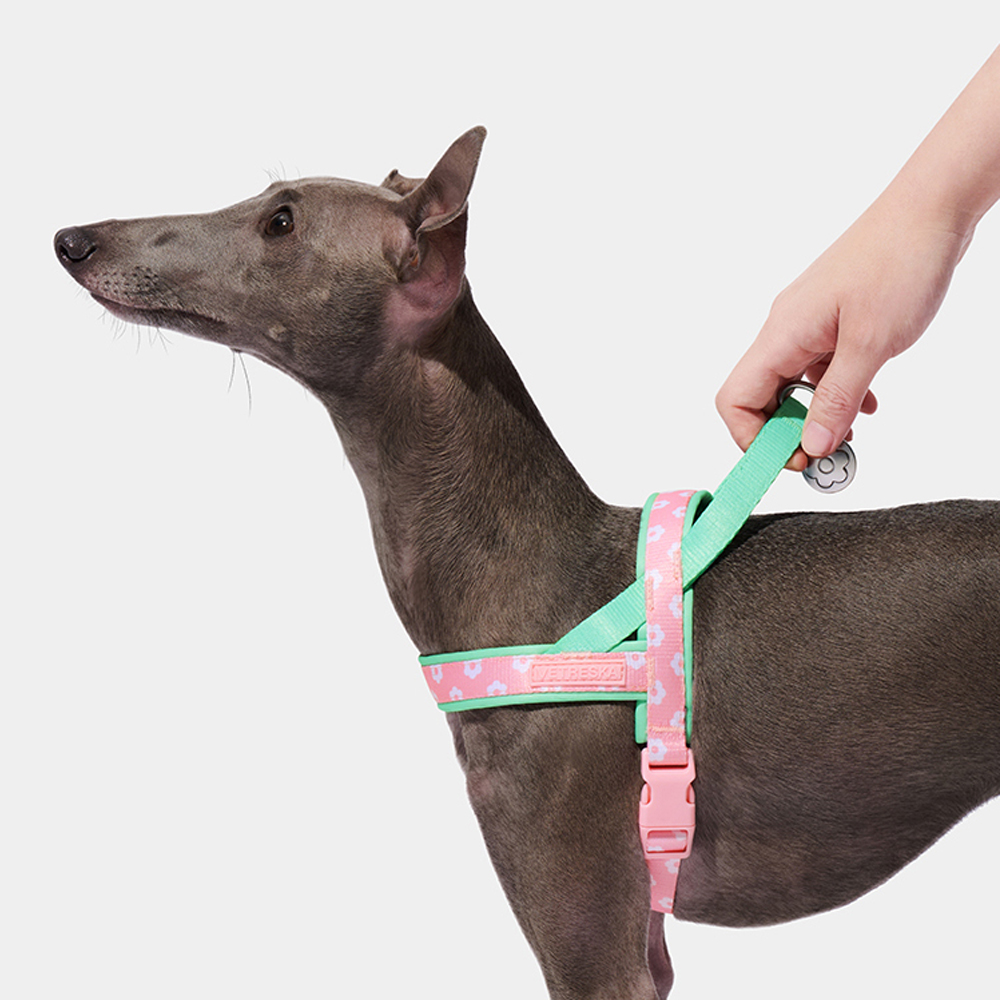 Arnés de Lujo para Mascotas co - Headcollar Rope Set reseña y precio