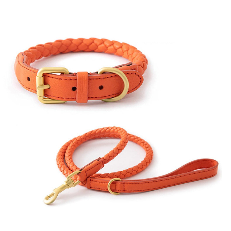 Conjunto de Collar y Correa Aj - Headcollar Rope Set reseña y precio