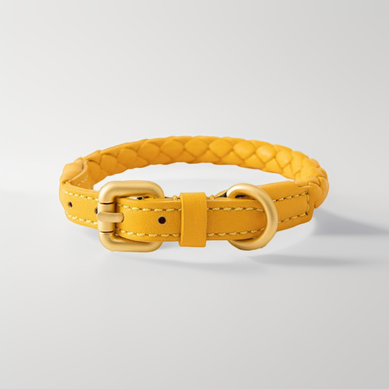 Conjunto de Collar y Correa Aj - Headcollar Rope Set reseña y precio