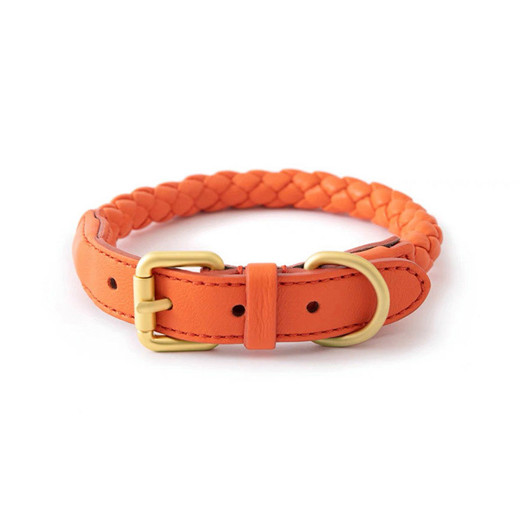 Conjunto de Collar y Correa Aj - Headcollar Rope Set reseña y precio